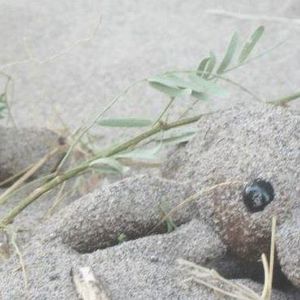 Meet your Posher, Derek